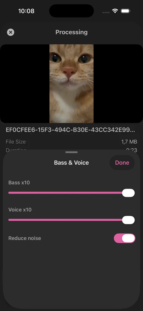 Increase Volume Bass & Voice panel on iPhone with Bass and Voice sliders at x10 and the Reduce noise switch turned on
